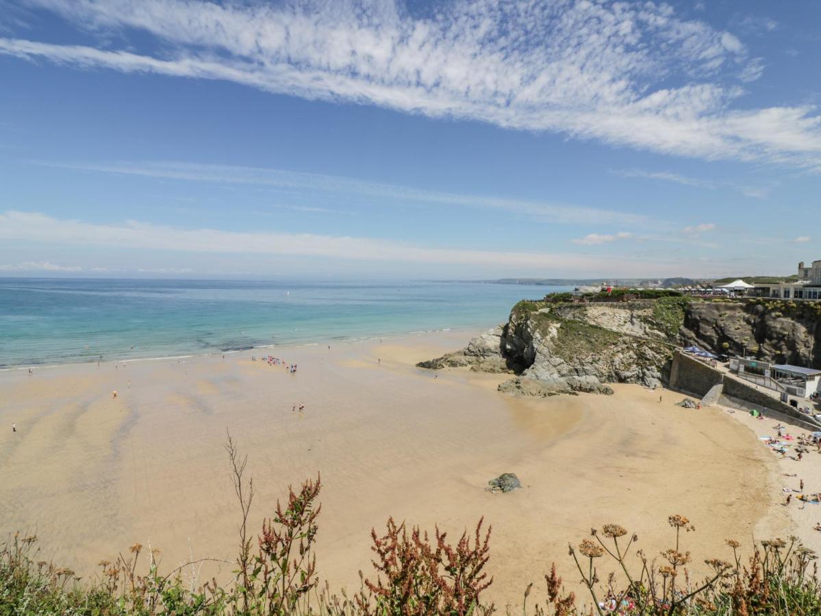The Lookout Appartement New Quay Buitenkant foto